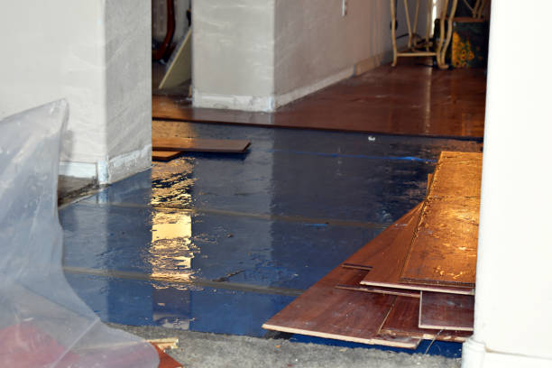 Professional Water Damage Restoration technician working in Cherry Log, GA